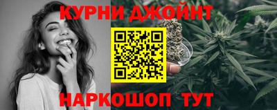 apvp Гусев