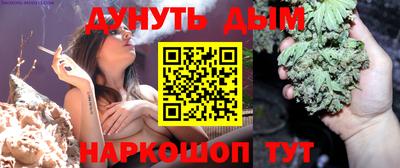 apvp Гусев