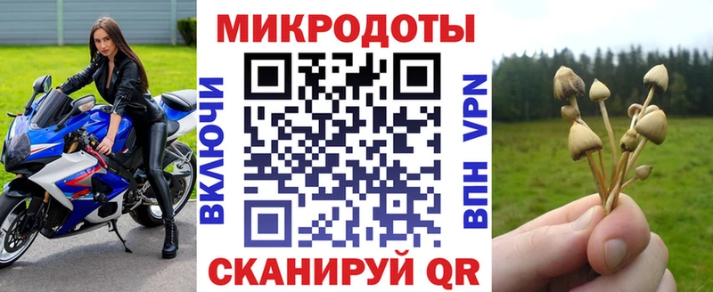 Галлюциногенные грибы мухоморы  наркота  Подольск 