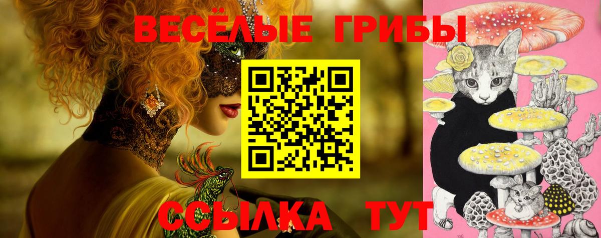 Псилоцибиновые грибы Psilocybine cubensis Подольск