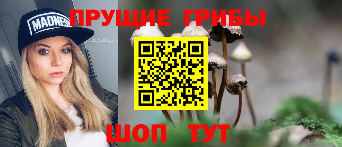 Псилоцибиновые грибы Magic Shrooms  Вход с VPN  Подольск 
