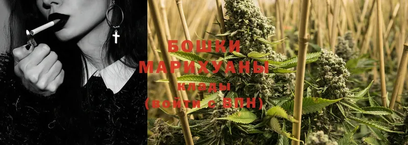 купить наркотик  Подольск  Марихуана Amnesia 